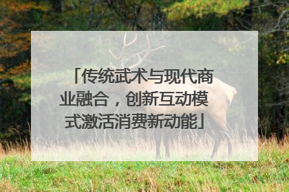 传统武术与现代商业融合，创新互动模式激活消费新动能